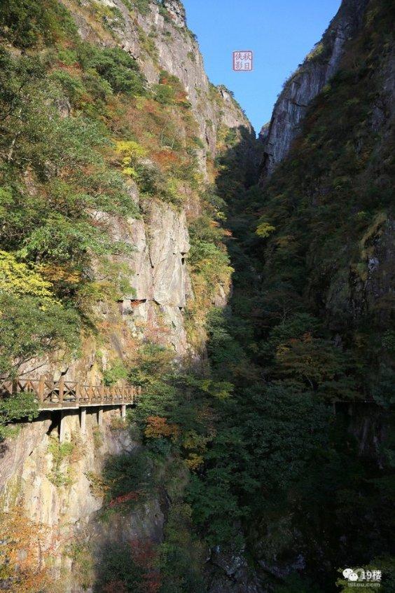 逃出无人荒岛